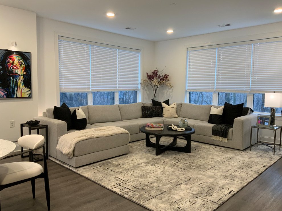 Apartment Living Redesign