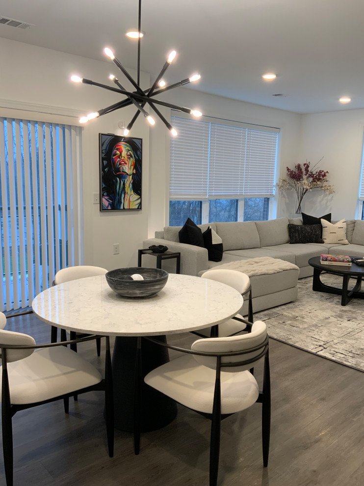 Apartment Living Redesign